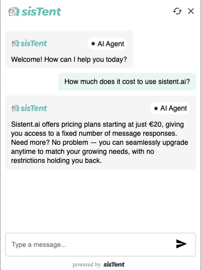 Individueller Website-Agent